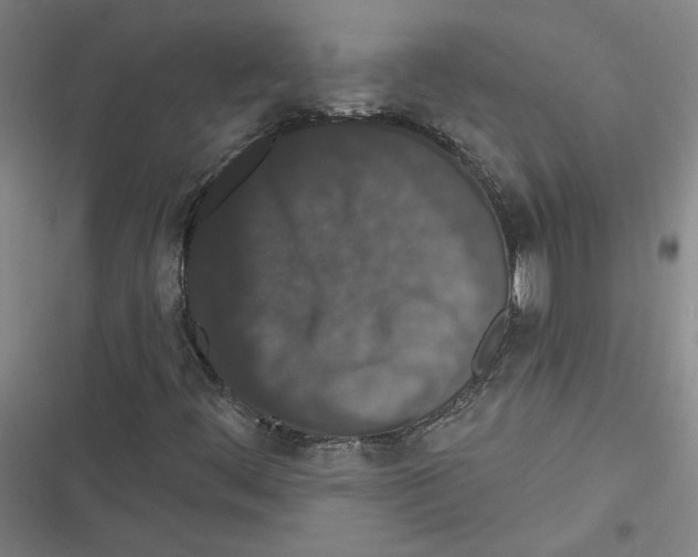 X0000116771444201001141441