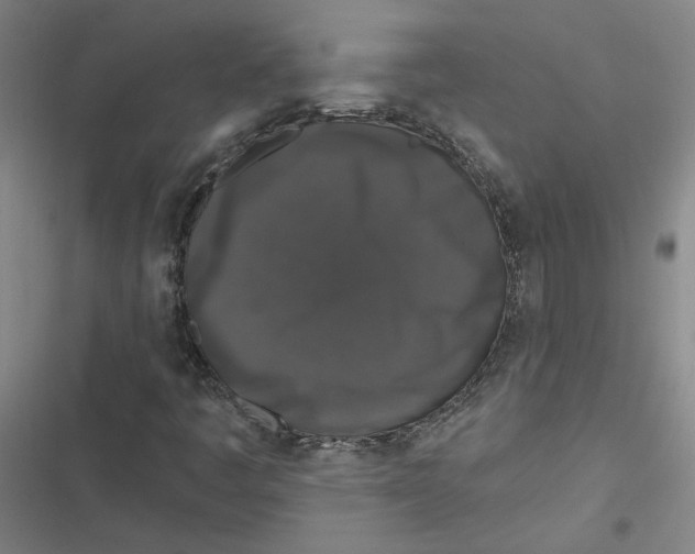 X0000116771445201001141441