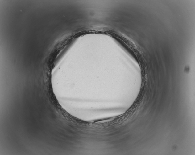 X0000116771447201001141441