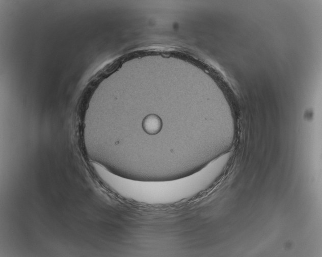 X0000116771448201001141441