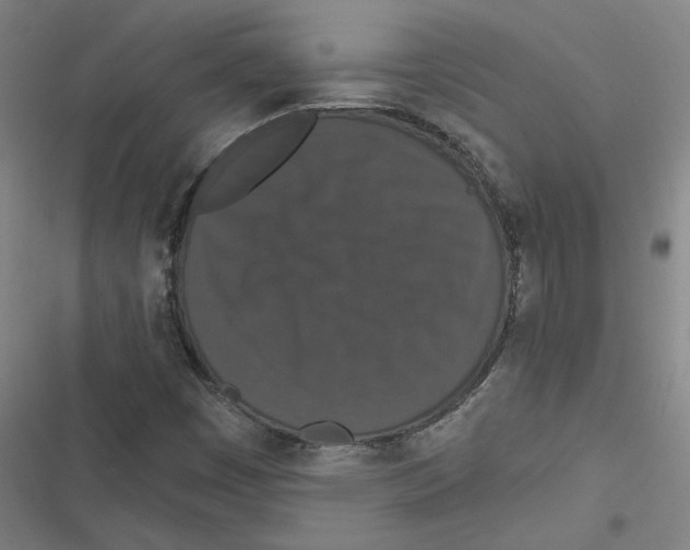 X0000116771449201001141441