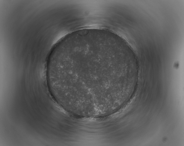X0000116771450201001141441