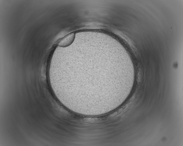 X0000116771451201001141441