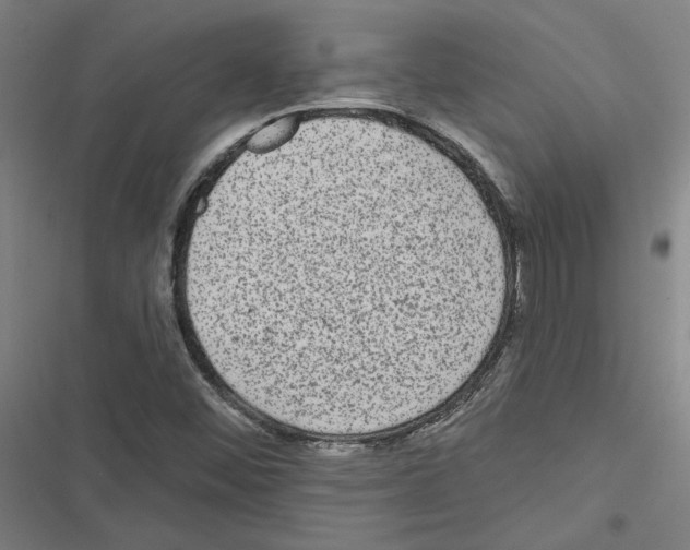 X0000116771452201001141441