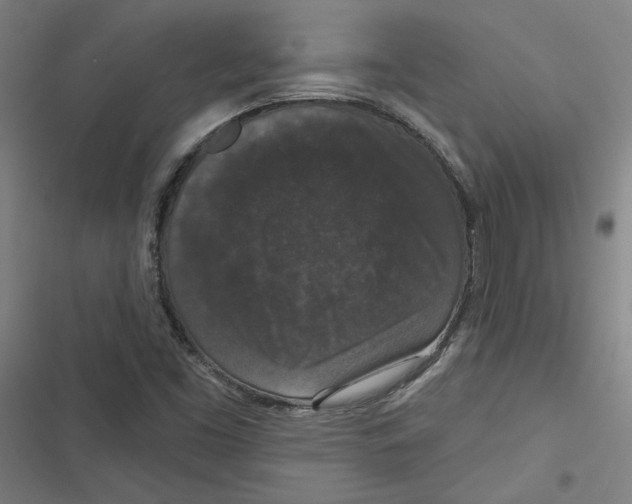 X0000116771453201001141440