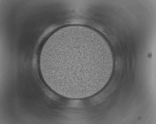 X0000116771454201001141440