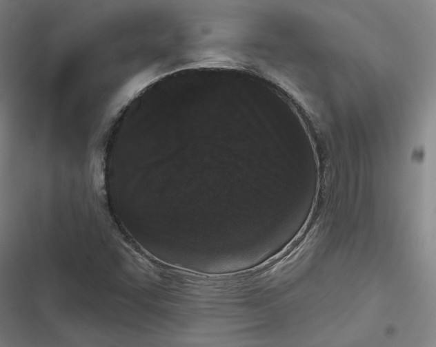 X0000116771455201001141440