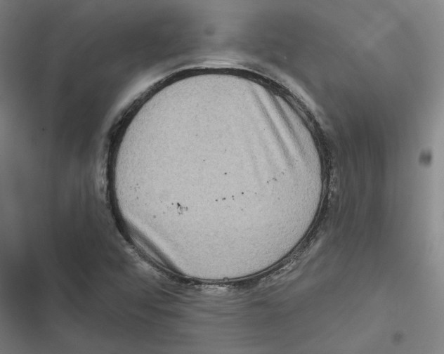 X0000116771456201001141440
