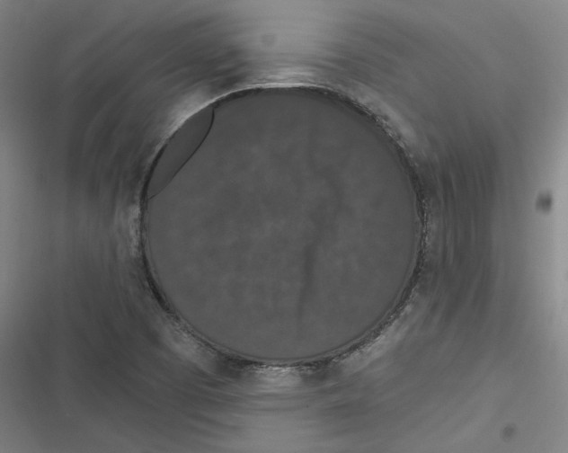 X0000116771457201001141440