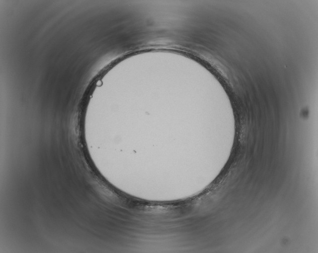 X0000116771458201001141440