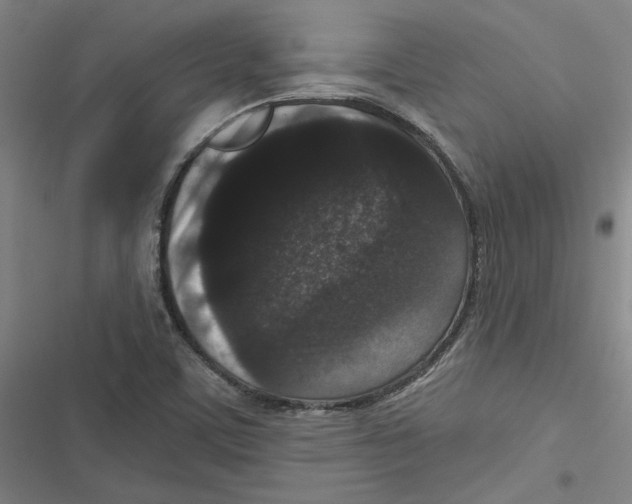 X0000116771459201001141440