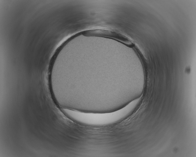 X0000116771460201001141440