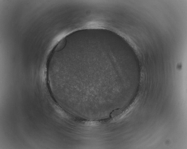 X0000116771461201001141440