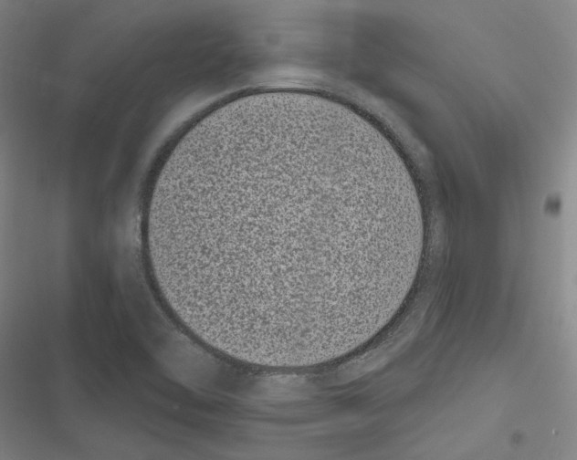 X0000116771462201001141440
