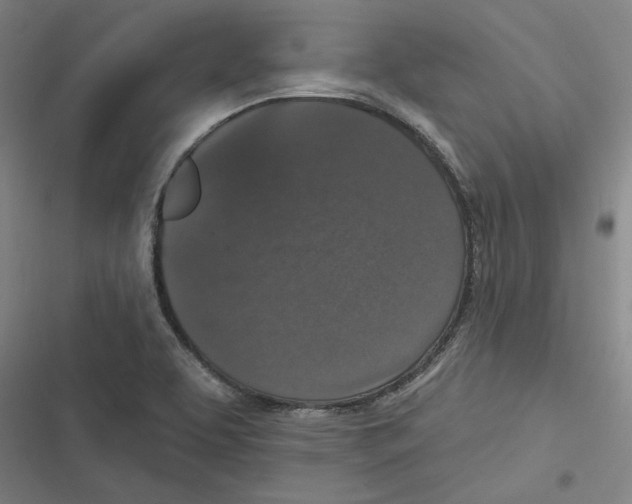 X0000116771463201001141440