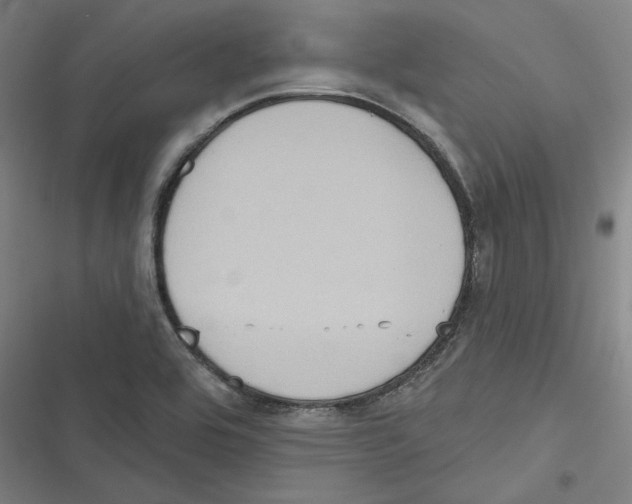 X0000116771464201001141440