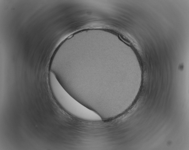 X0000116771465201001141440
