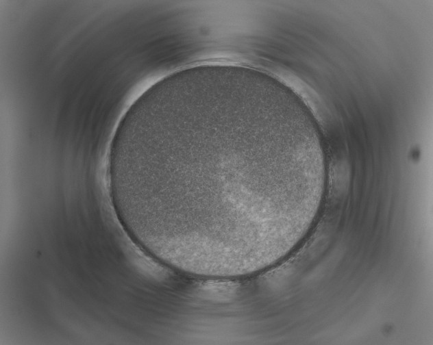 X0000116771466201001141440