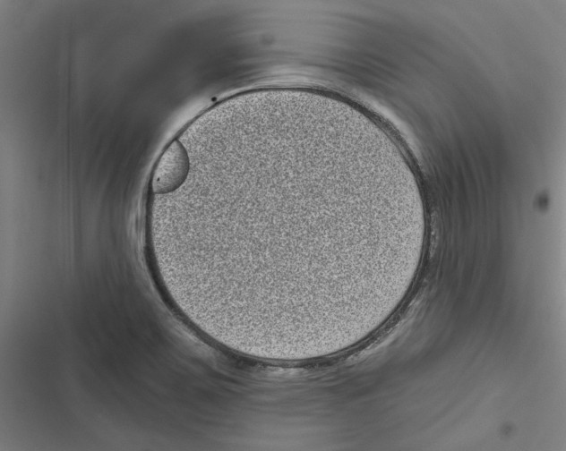 X0000116771467201001141440