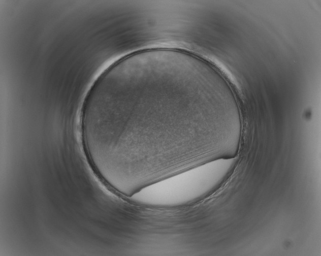 X0000116771468201001141440