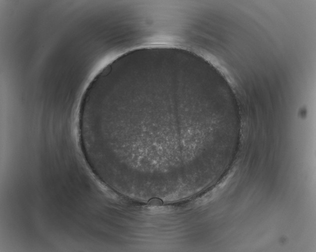X0000116771469201001141440