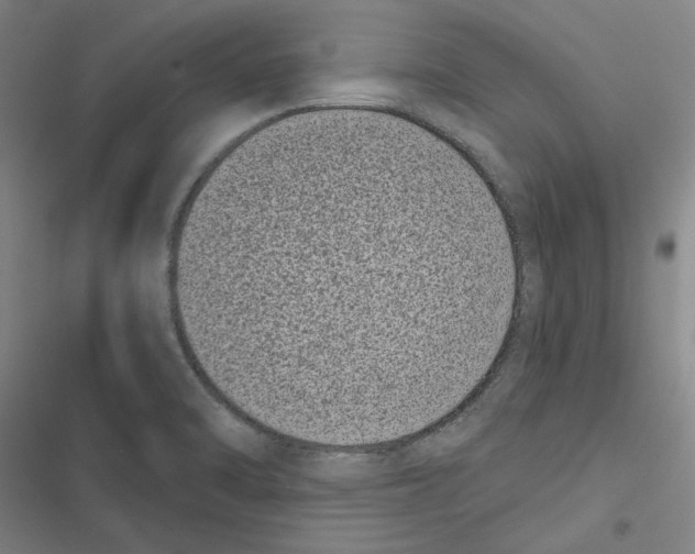 X0000116771470201001141440