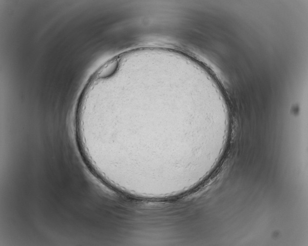 X0000116771471201001141440