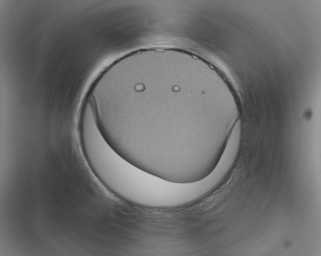 X0000116771472201001141440