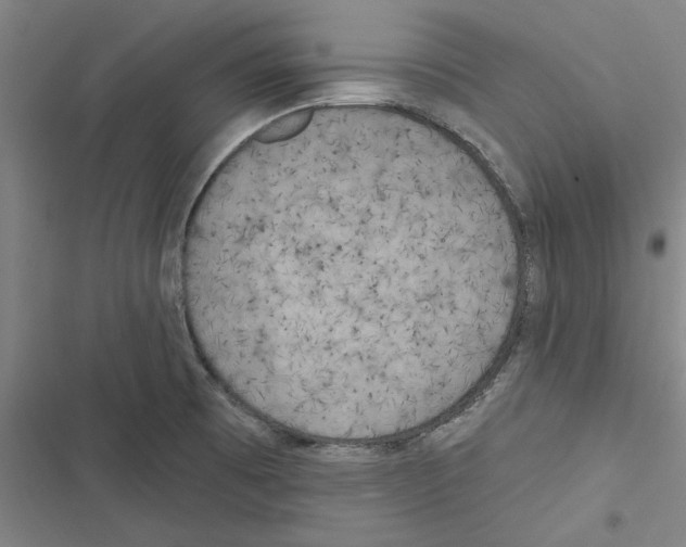 X0000116771473201001141440