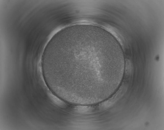 X0000116771474201001141440