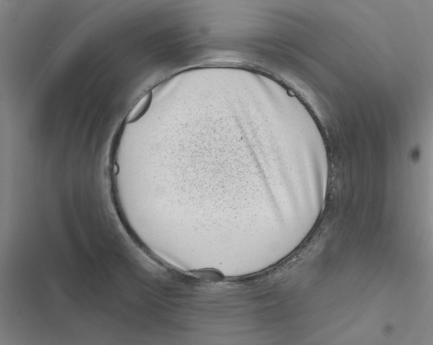 X0000116771475201001141440