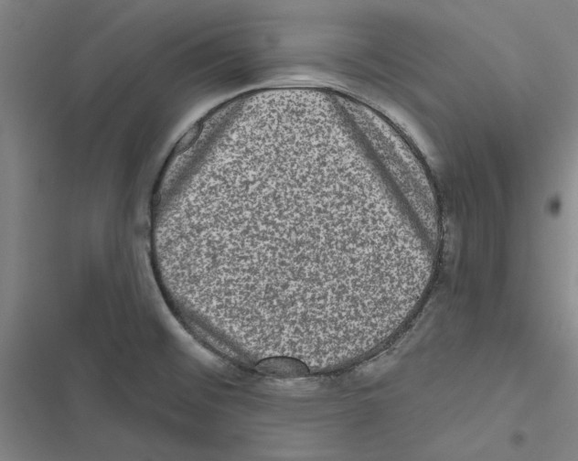 X0000116771476201001141440