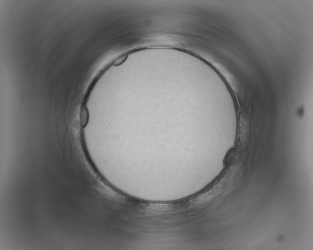 X0000116771477201001141440