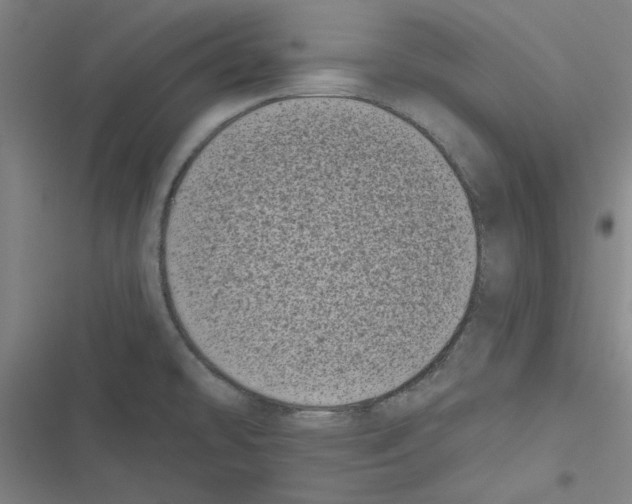 X0000116771478201001141440