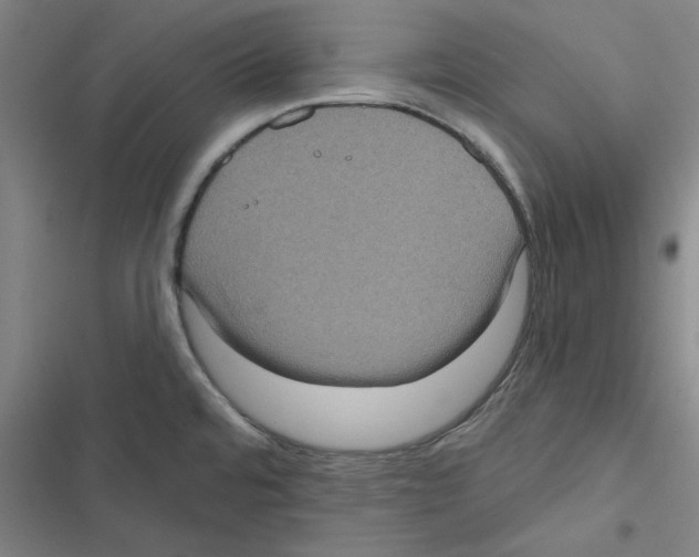 X0000116771480201001141440