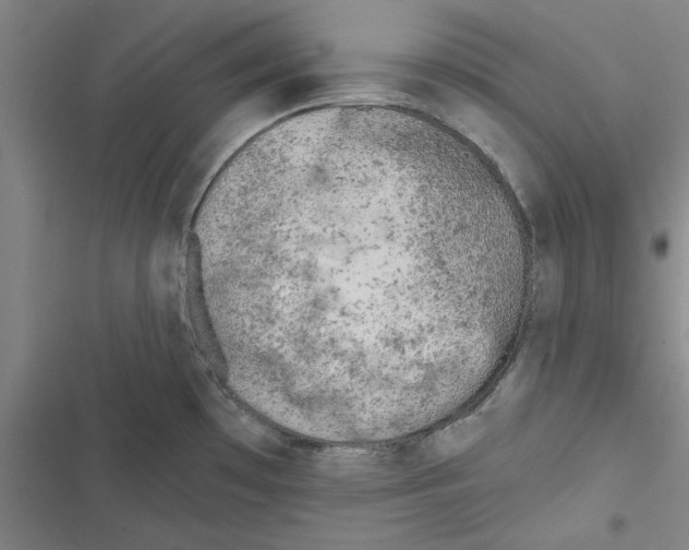 X0000116771481201001141440