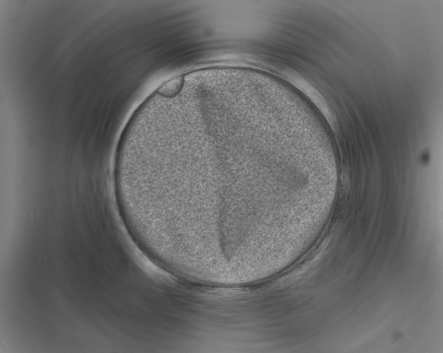 X0000116771482201001141440