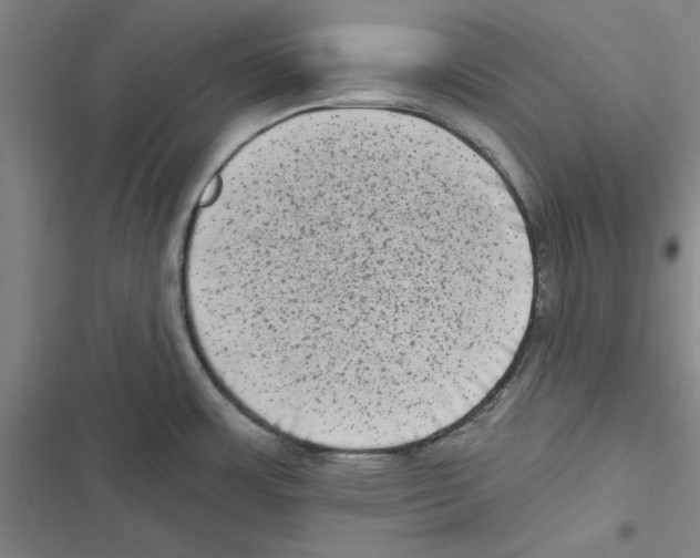 X0000116771483201001141440