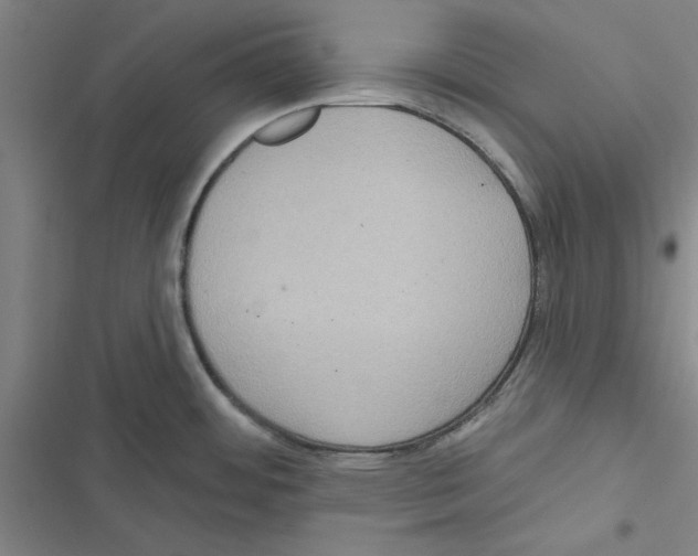 X0000116771484201001141440