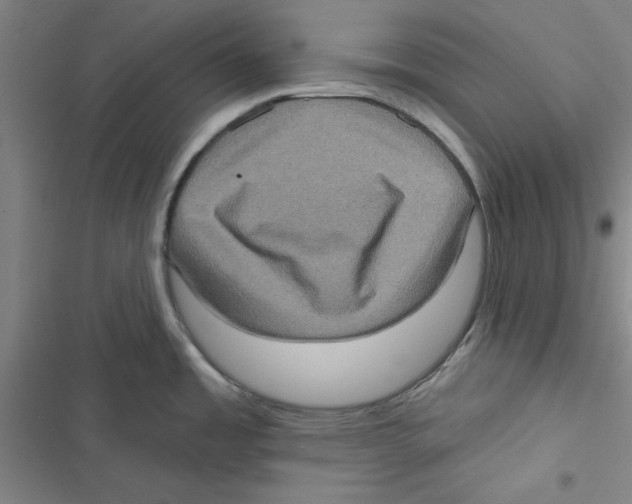 X0000116771485201001141440
