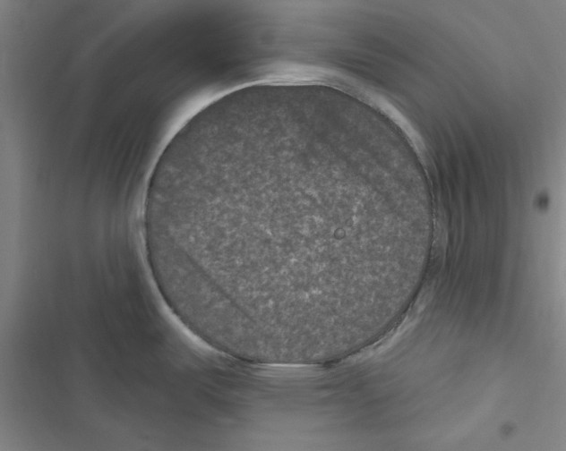 X0000116771487201001141440