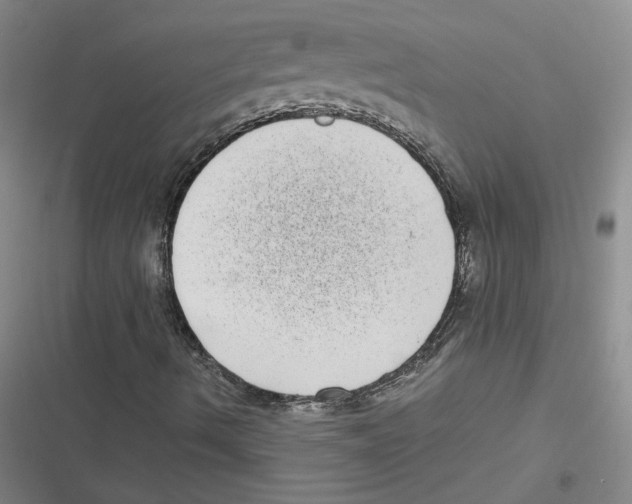 X0000116771490201001141439