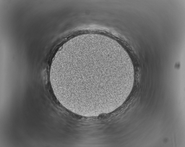 X0000116771493201001141439
