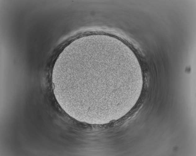 X0000116771494201001141439