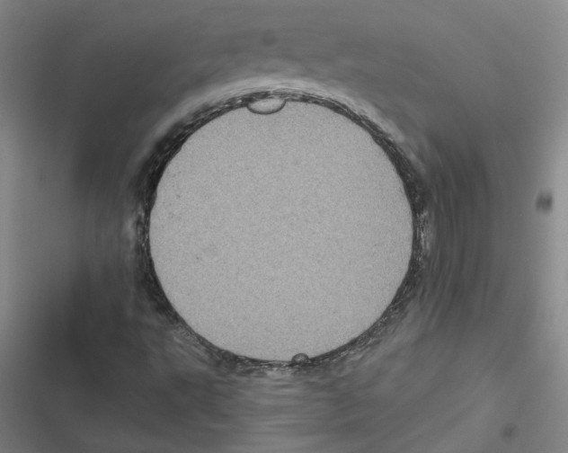 X0000116771495201001141439