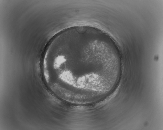 X0000116771497201001141439