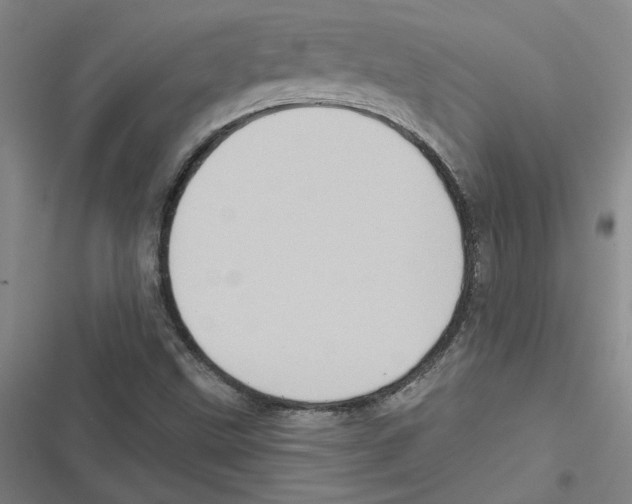 X0000116771499201001141440