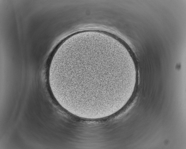 X0000116771501201001141440