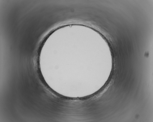 X0000116771502201001141440