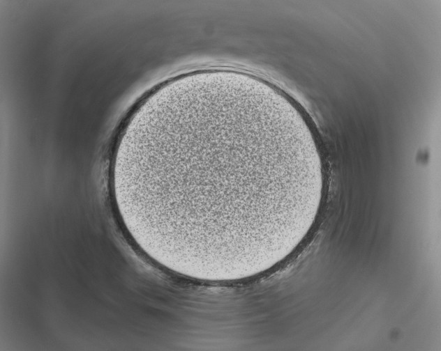 X0000116771503201001141440